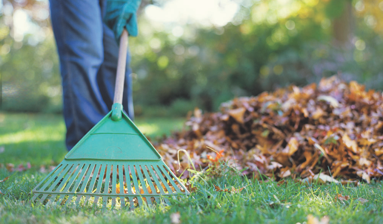 Do Established and Developing Areas Clean and Maintain Urbanization Differently